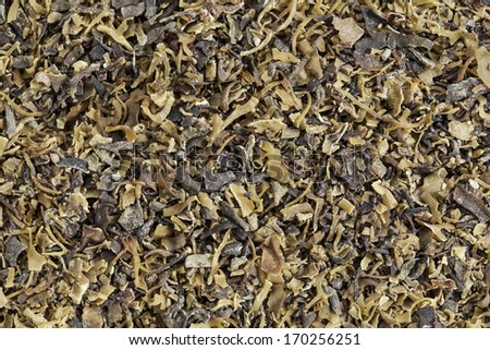 Background of dried Irish moss seaweed (Chondrus crispus)  rich in iodine, harvested to make carrageenan, a thickening agent for jellies, puddings, and soups, traditional herbal remedy in Ireland.
