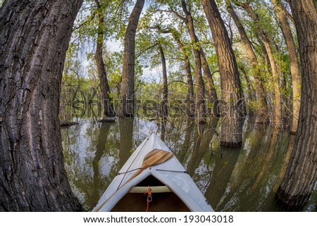 canoe bow with a paddle on a lake with submerged trees - distorted fisheye perspective - Lonetree Reservoir near Loveland, Colorado