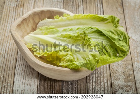 fresh leaves of romaine lettuce in a rustic wooden bowl
