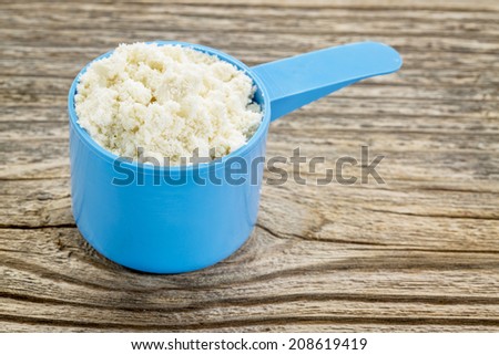 whey protein powder in a blue plastic measuring scoop against grained wood