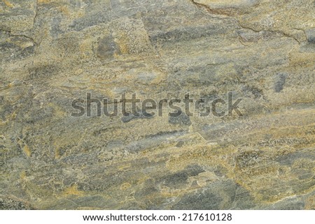 flat, green, yellow and gray slate rock with abstract like landscape pattern