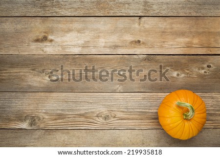 autumn pumpkin on rustic wooden board with a copy space