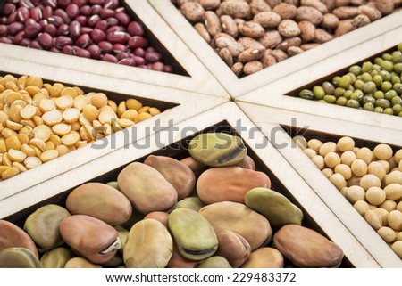 triangles - bean, lentil and pea abstract (fava, pinto, adzuki bean, green and French lentils, yellow pea, soybean), focus on fava beans