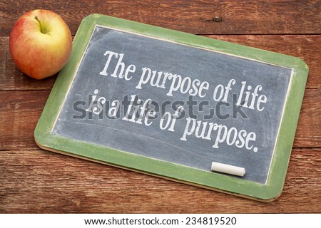 the purpose of life is a life of purpose - text   on a slate blackboard against red barn wood