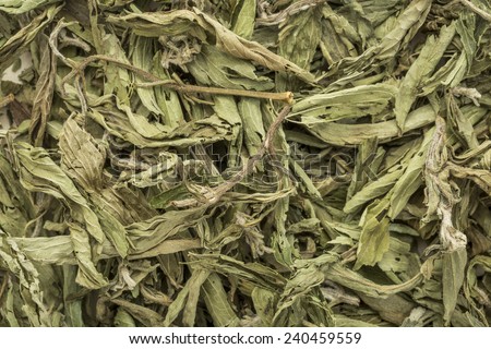 stevia dried leaves background - natural sweetener, sugar substitute