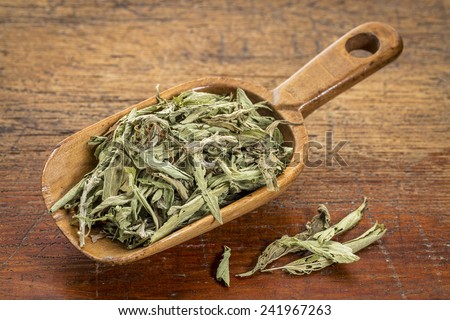 stevia dried leaves in a rustic wooden scoop- natural sweetener, sugar substitute