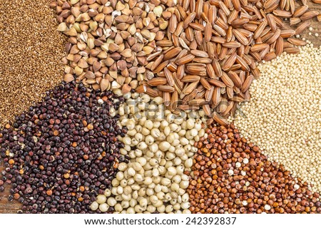 a variety of gluten free grains (buckwheat, amaranth, brown rice, millet, sorghum, teff,  red quinoa) i- top view