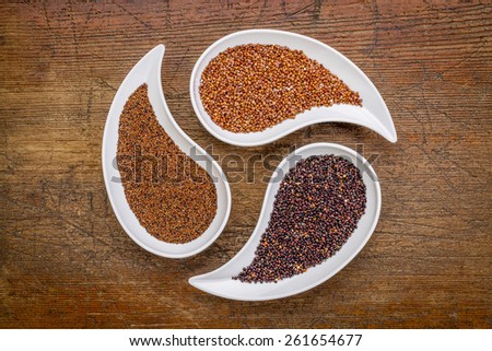 kaniwa, red and black quinoa - three gluten free grains in teardrop shaped bowls against rustic wood