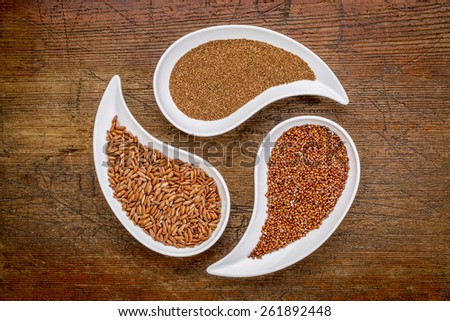 teff, red quinoa and brown rice - three gluten free grains in teardrop shaped bowls against rustic wood