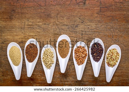 seven healthy, gluten free grains (quinoa, brown rice, amaranth, teff, buckwheat, sorghum. kaniwa), top view of small spoons against rustic wood with a copy space