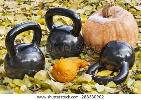 three heavy iron  kettlebells outdoors in a fall scenery  with pumpkin and squash - outdoor fitness concept