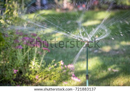 water sprinklers running in a garden with a variety of flowers