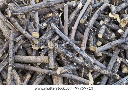 a pile of cut sticks and dried branches - backyard background