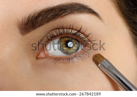 Make-up. Eyebrow Makeup. Eyes