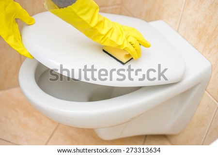 Professional female cleaner is cleaning toilet in bathroom