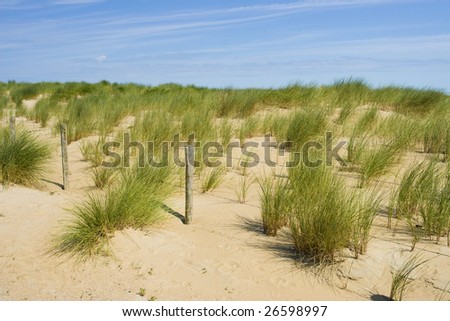 Beautiful view of Dutch dunes at Scheveningen