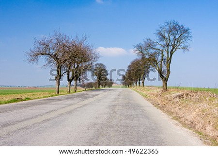sunny weather - road and tree in summer