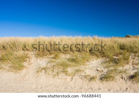 Beautiful view of Dutch dunes