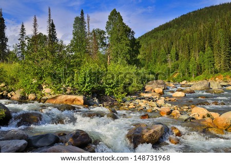 Mountain River. A river in Kuznetsk Alatau mountains, Western Siberia, Russia.