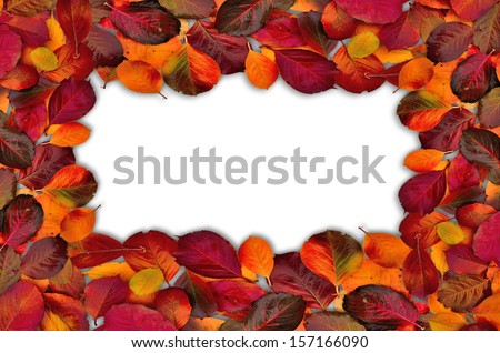 Fall leaves border on white. Autumn  leaves  on white  background  on border  of photo