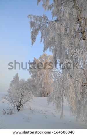 Beautiful winter landscape. Cold winter day, beautiful hoarfrost and rime on the trees.