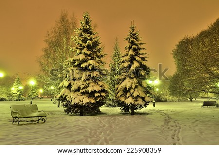 Snow-covered spruces, benches in the warm glow of lanterns - a fairy tale of the winter evening