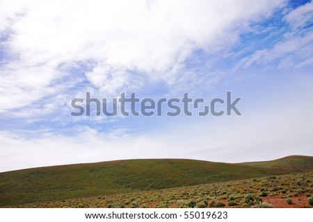 Landscape of arid hillside in eastern Washington