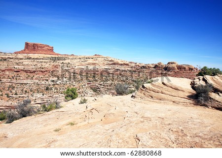 View of deep canyons at Canyonlands National Park