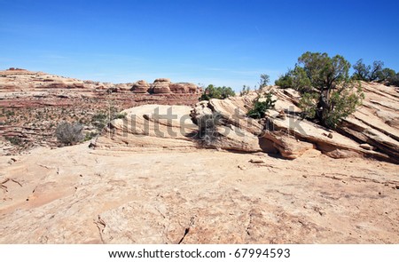 Desert Terrain Texture