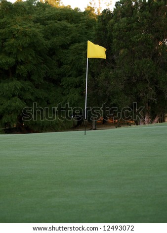 Green Golf Course Series - Putting green with single yellow flag