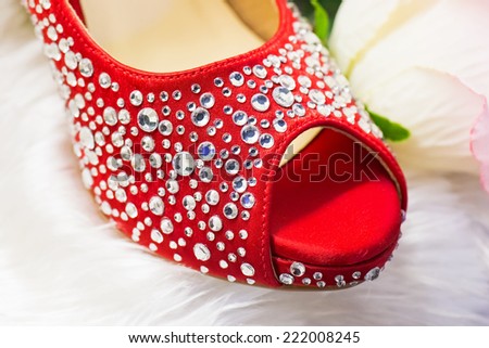 The Red Shoes Beautifully decorated with crystals