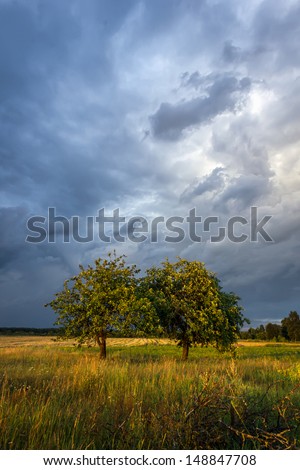 Countryside scene at the evening with stormy clouds and fruit trees lit by the rays of the setting sun