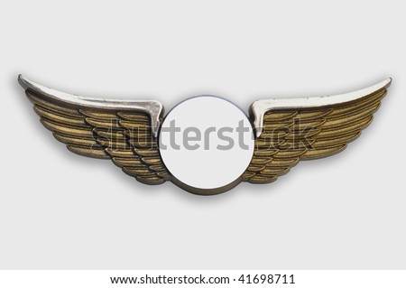 wing pins