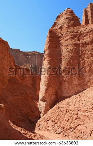 Talampaya canyon national park, northern Argentina. Sandstone cliffs. UNESCO world heritage site.