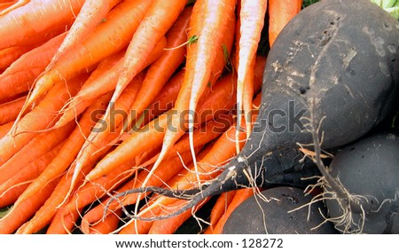 Some carrots and black radishes-detail