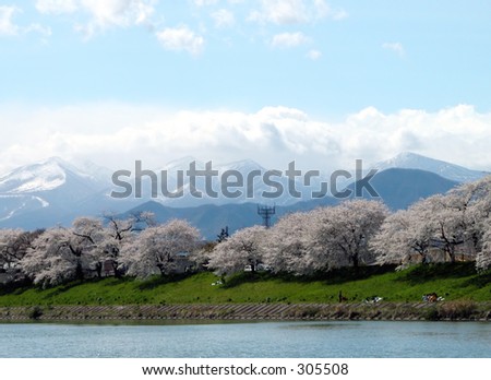 A characteristic Japanese spring landscape with river,cherry blossoms and mountains-Ogawara,Japan