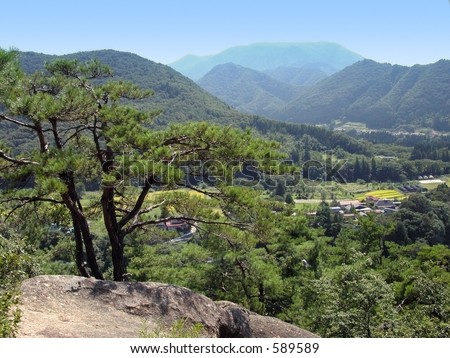 Specific Japanese landscape from Yamadera valley,Myagi,Japan.(characteristic pine tree and specific view of the afforest mountains)