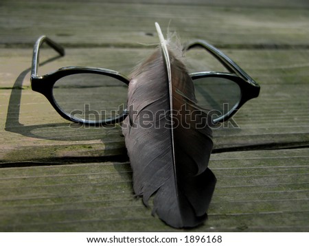a feather and a sunglasses on a wooden table in the forest