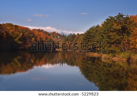 Beautiful autumn landscape.Location : Izumi ward,Sendai,Japan.