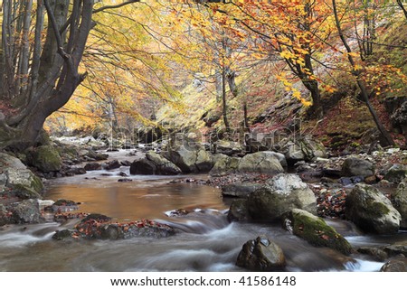 Beautiful autumn forest with a river in Ramet gorge,Transylvania,Romania.