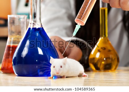 Mouse on a lab table been injected with syringe