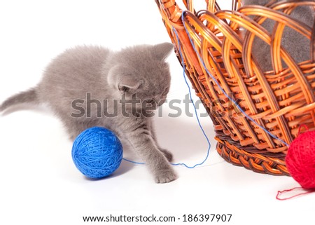 Little kittens in the basket on white playing with woolen clews