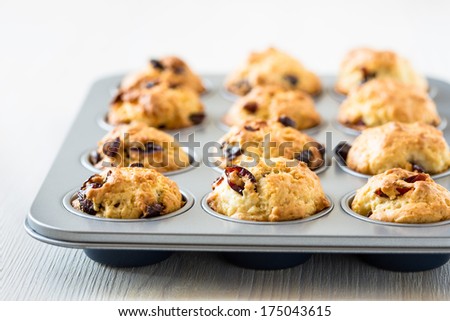 Freshly baked cranberry muffins in a muffin tin