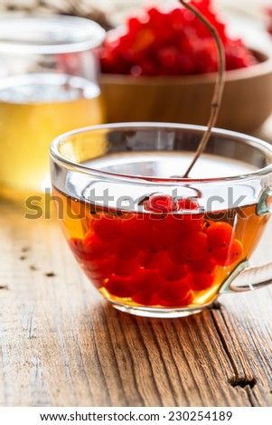Hot herbal tea with honey and viburnum, medical concept. Get well