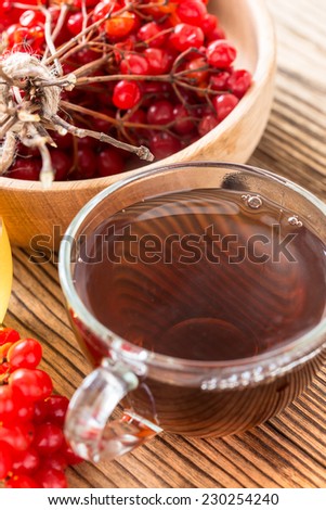 Hot herbal tea with honey and viburnum, medical concept. Get well