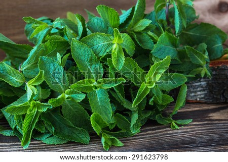 Bunch of fresh organic mint on the wooden board, rustic style