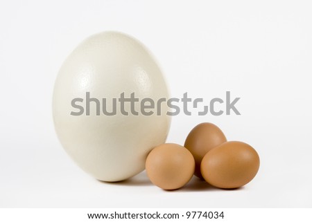 Egg With Hen