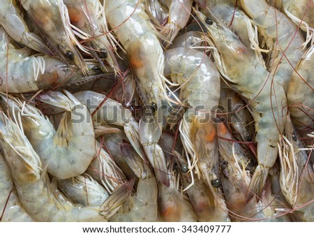 Close up fresh prawn, fresh shrimp seafood product