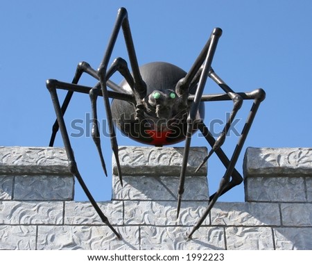 Black Widow Spider on building