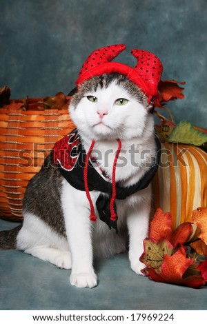 Cat Wearing Devil Halloween Costume